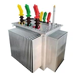 S11 S13 seriens oliedysset transformator